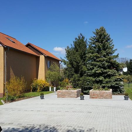 Fewo Schuetz Langewahl Екстериор снимка